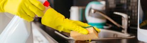 professional house cleaning services