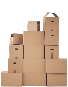 Professional Move-In / Move-Out Cleaning Services in Bayside Melbourne